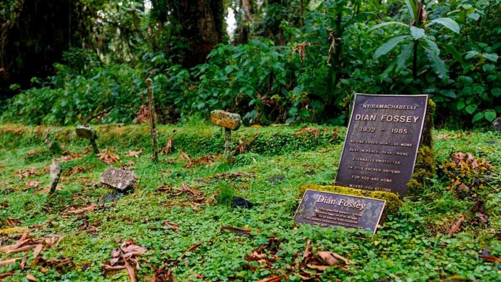 Dian Fossey grave