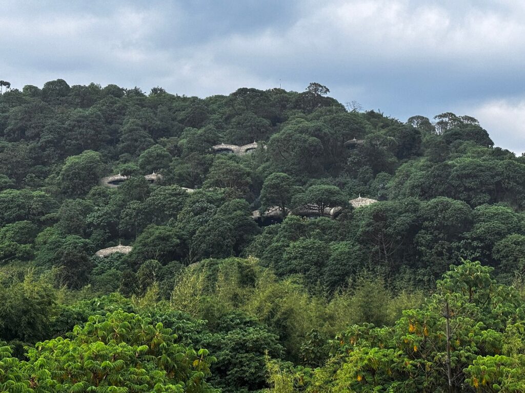 Wilderness Bisate Lodge