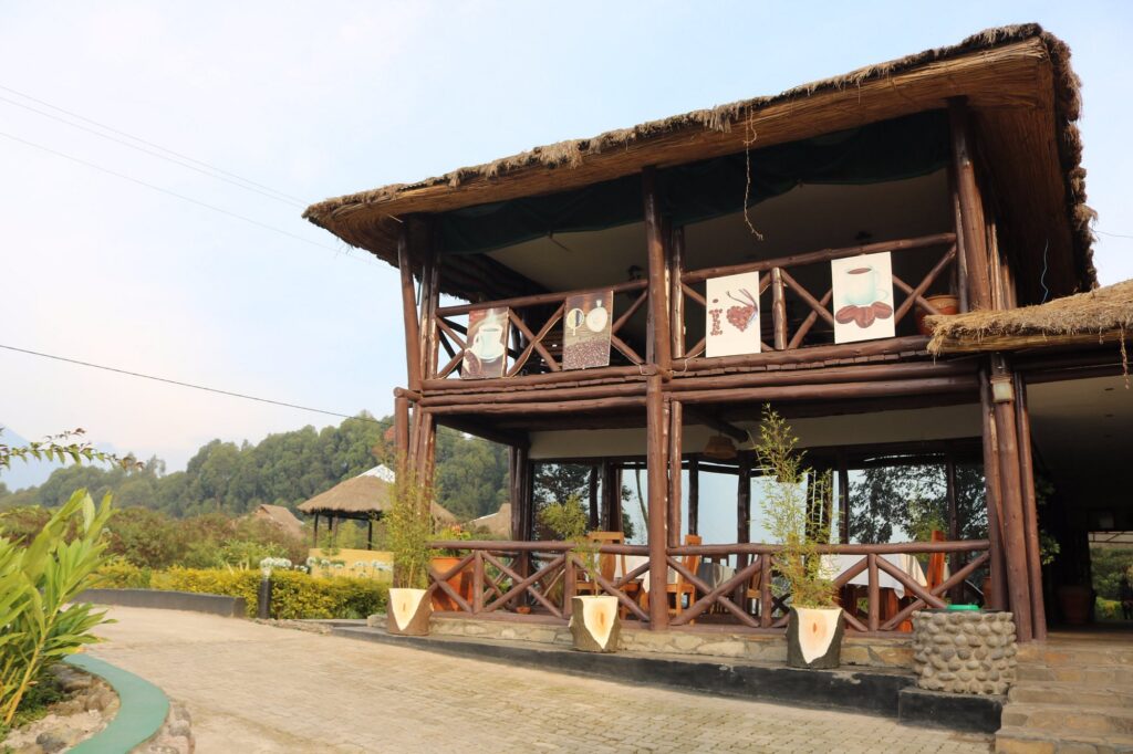 Da Vinci Gorilla Lodge