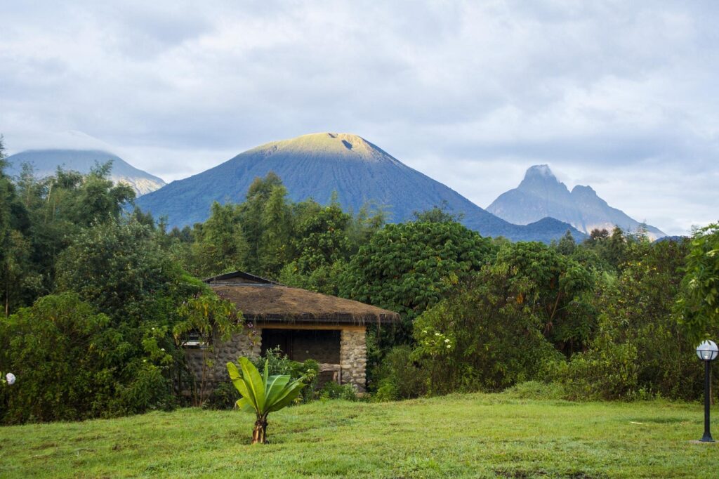 Mountain Gorilla View Lodge