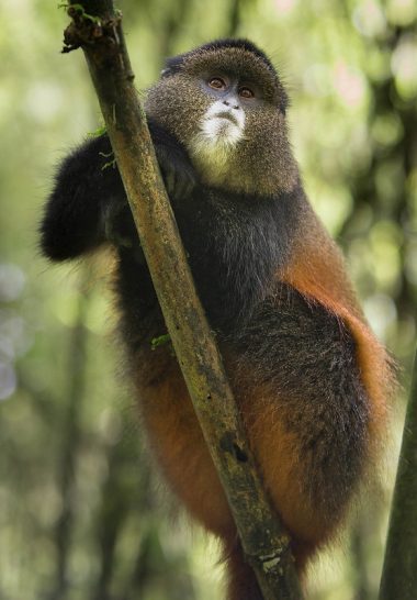 18429427436_51509428ab_c